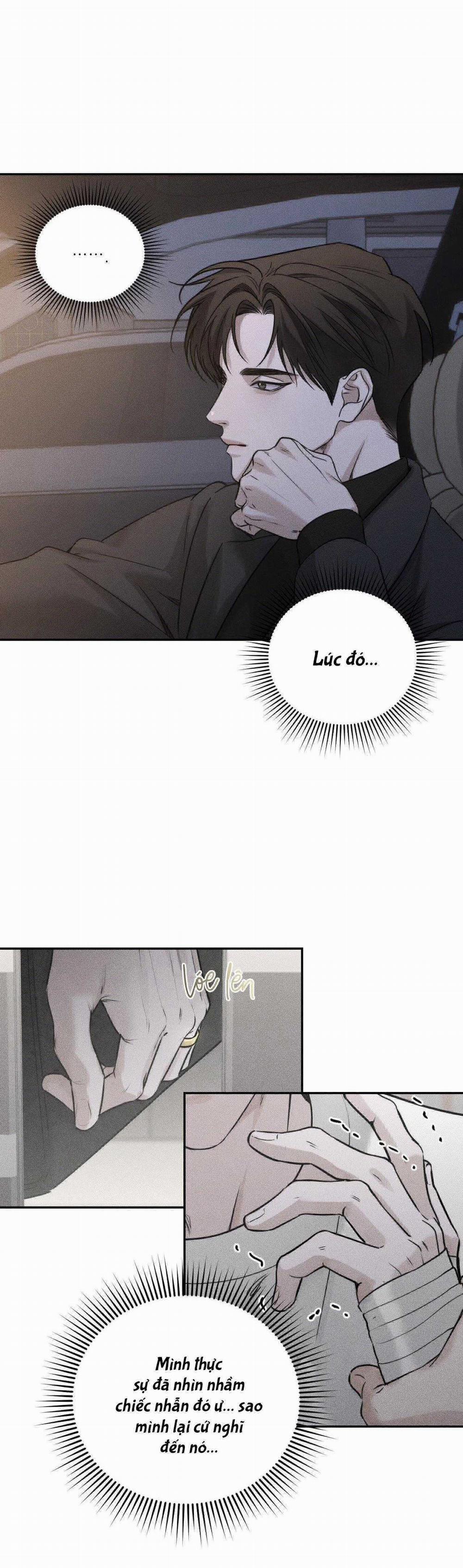 Gấu Teddy Thân Yêu 21 trang 14