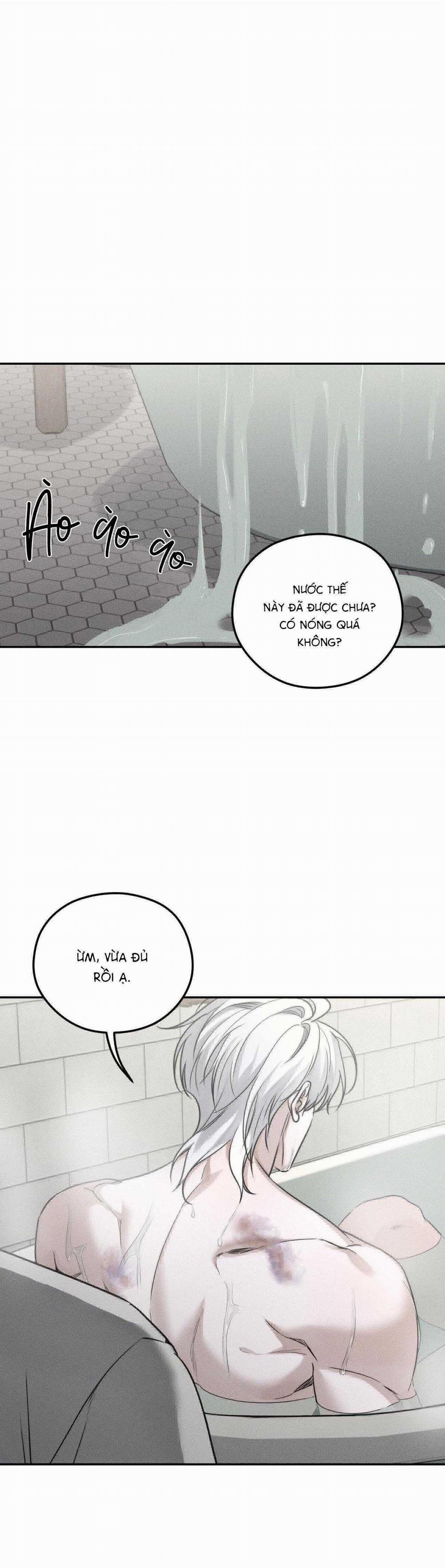 Gấu Teddy Thân Yêu 21 trang 19