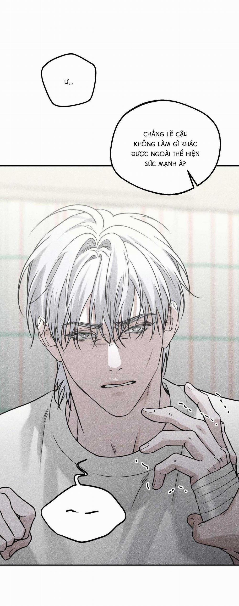 Gấu Teddy Thân Yêu 21 trang 4