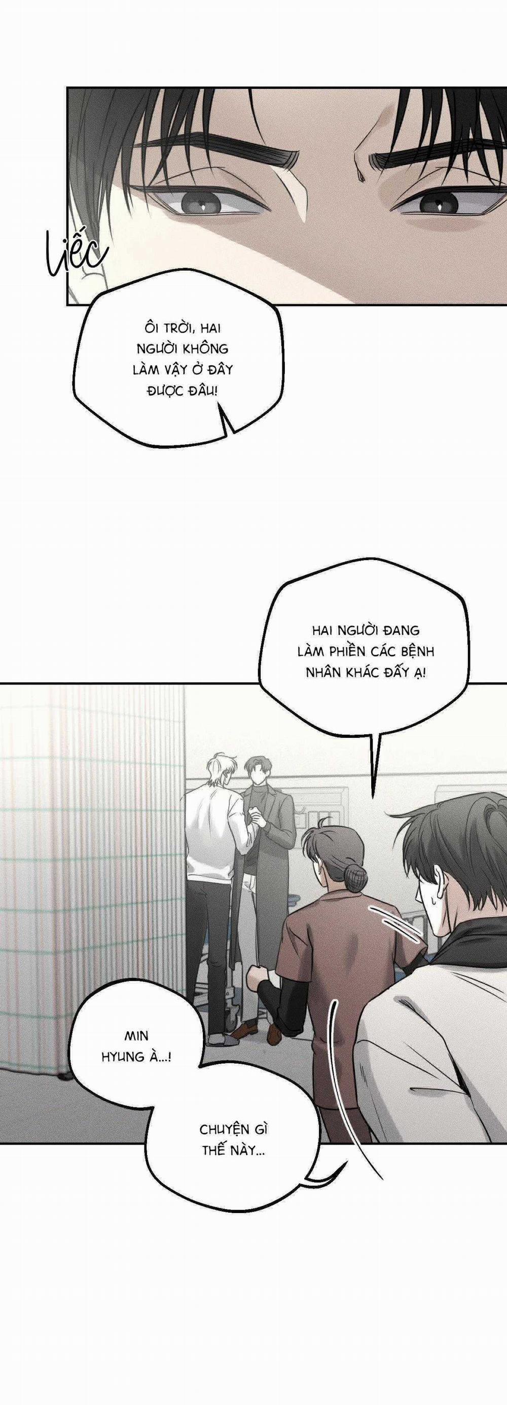 Gấu Teddy Thân Yêu 21 trang 5