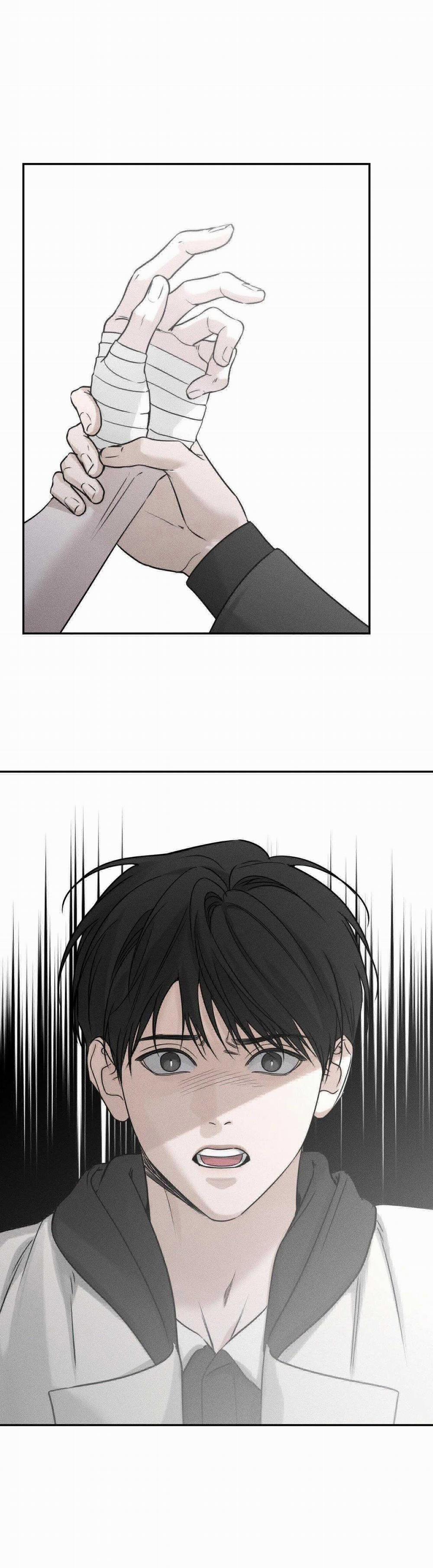 Gấu Teddy Thân Yêu 21 trang 6