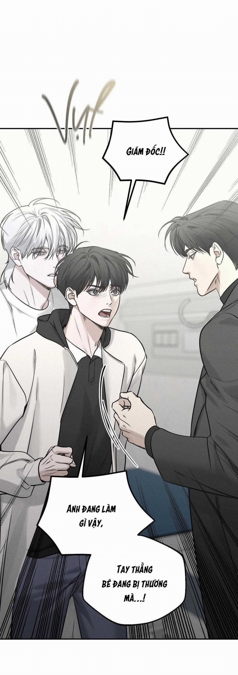 Gấu Teddy Thân Yêu 21 trang 7