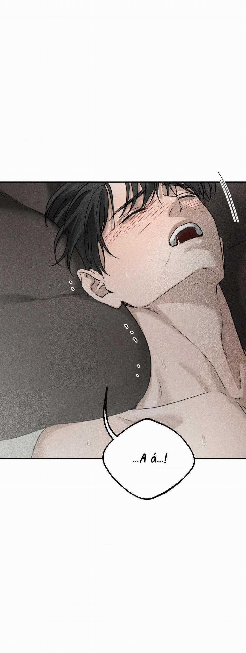 Gấu Teddy Thân Yêu 23 trang 13