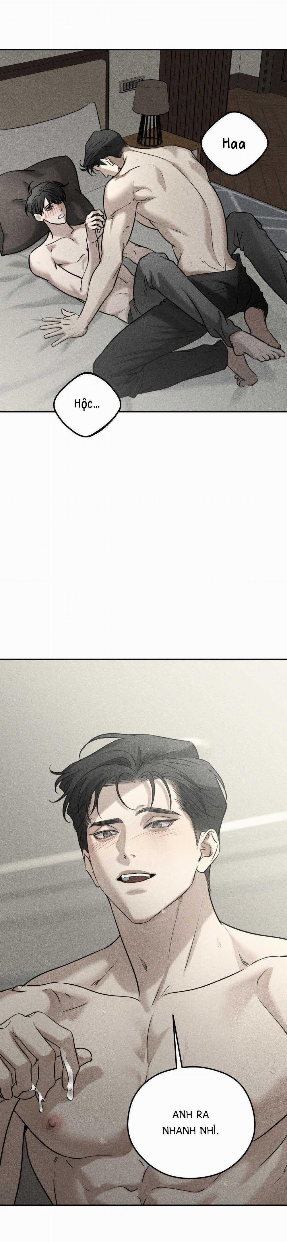 Gấu Teddy Thân Yêu 23 trang 17