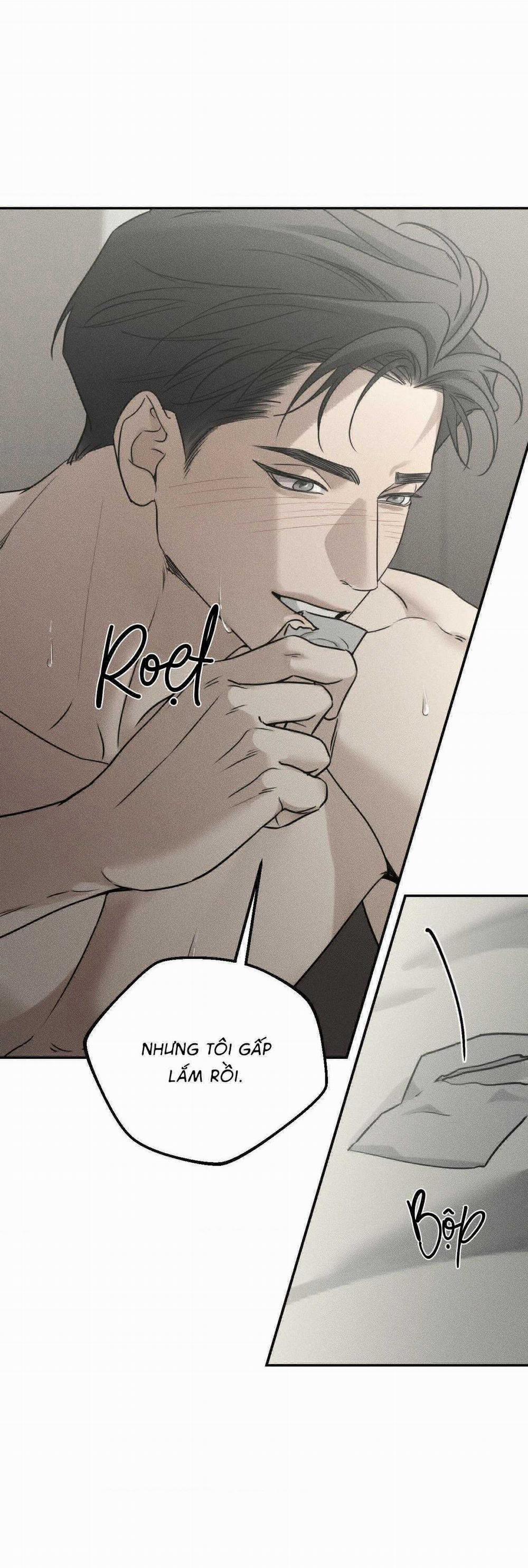 Gấu Teddy Thân Yêu 23 trang 26