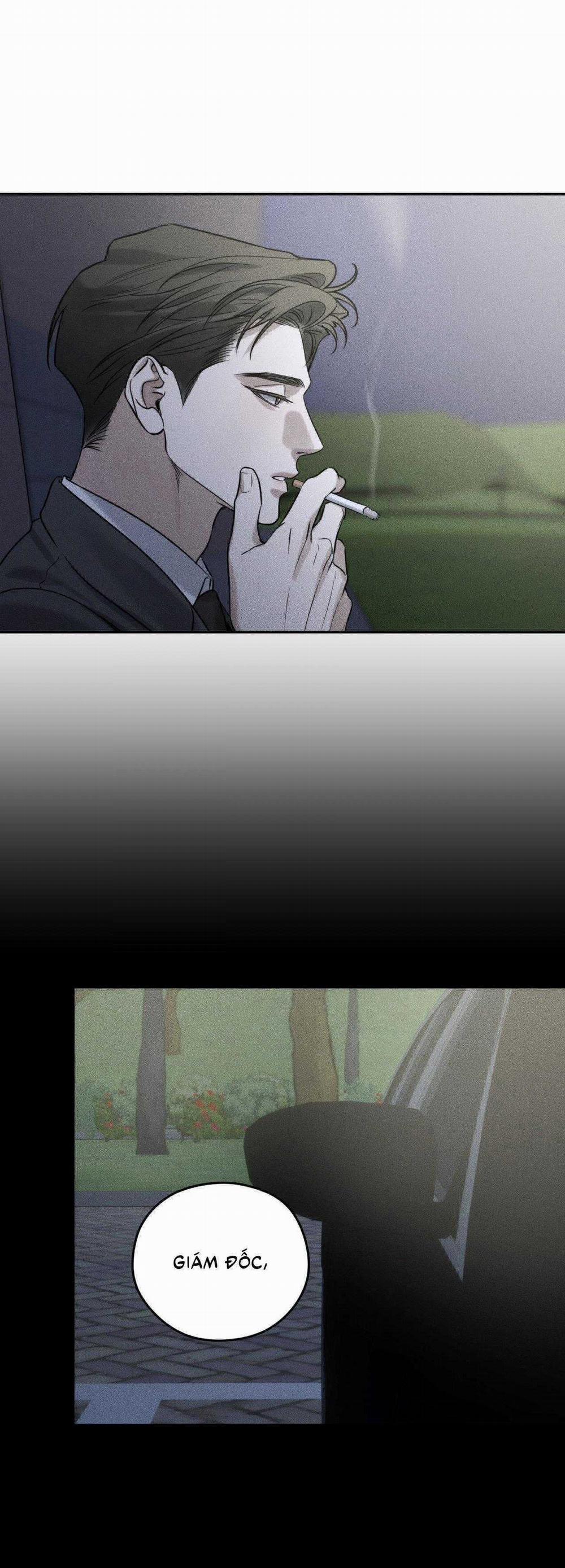 Gấu Teddy Thân Yêu 24 trang 21