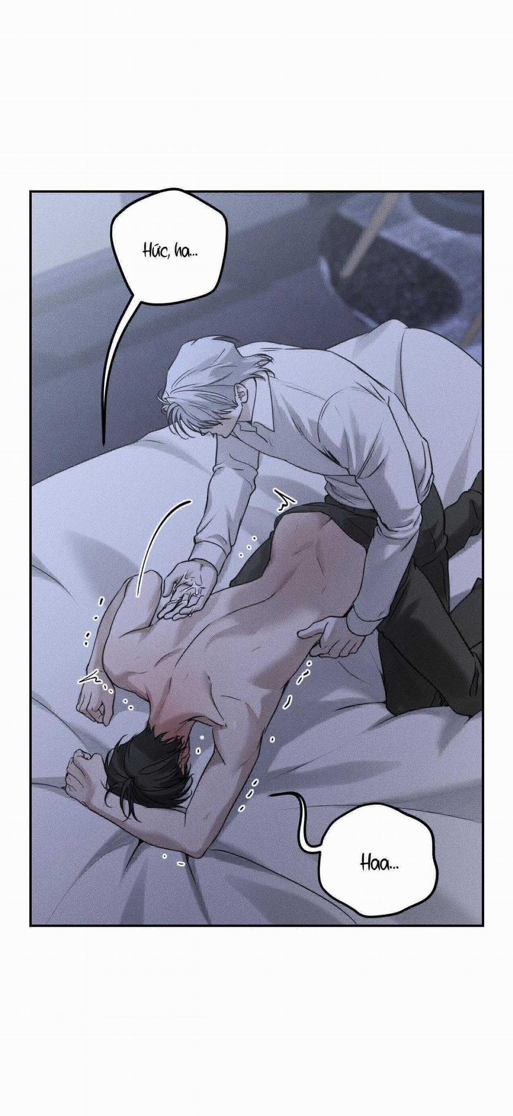 Gấu Teddy Thân Yêu 25 trang 17