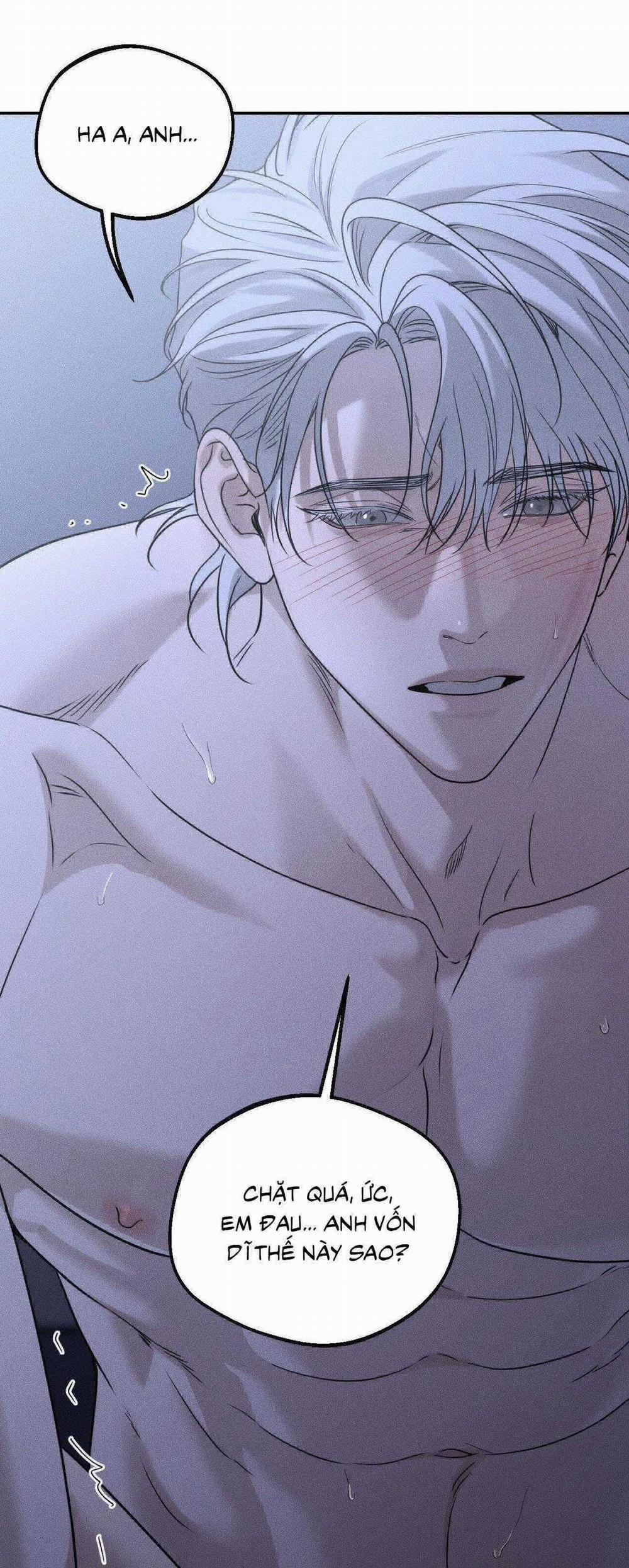 Gấu Teddy Thân Yêu 26 trang 24