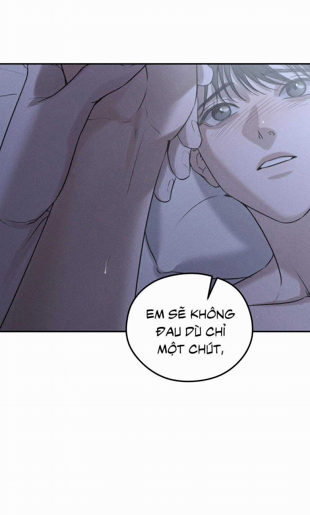 Gấu Teddy Thân Yêu 27 trang 16