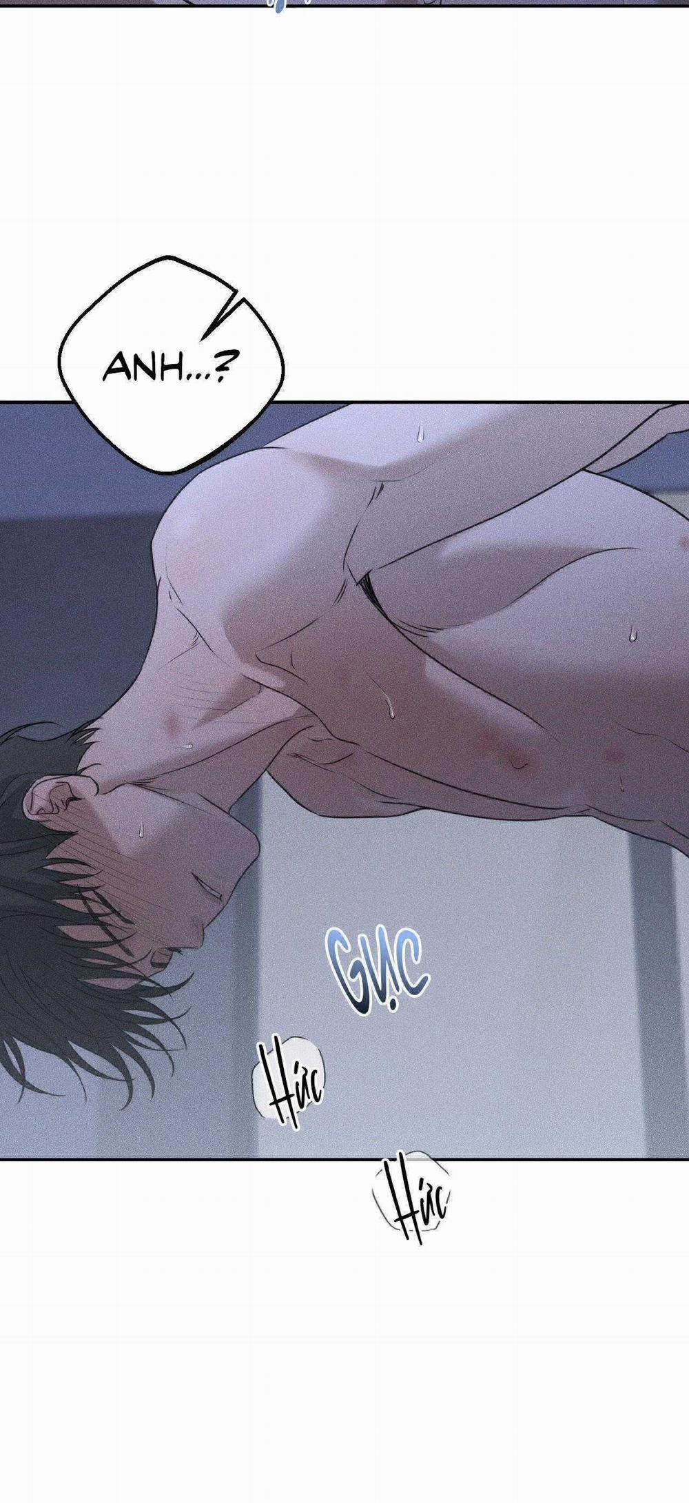 Gấu Teddy Thân Yêu 27 trang 41