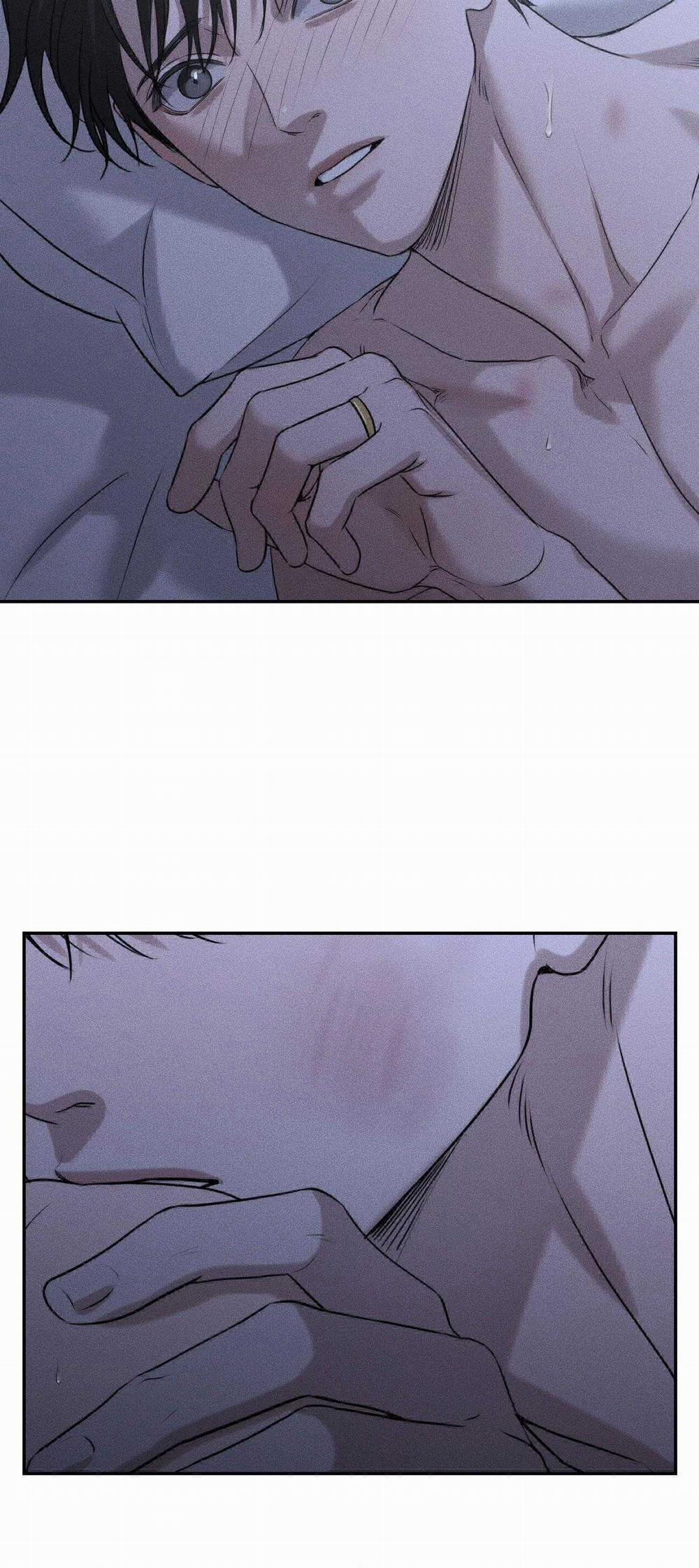 Gấu Teddy Thân Yêu 27 trang 9