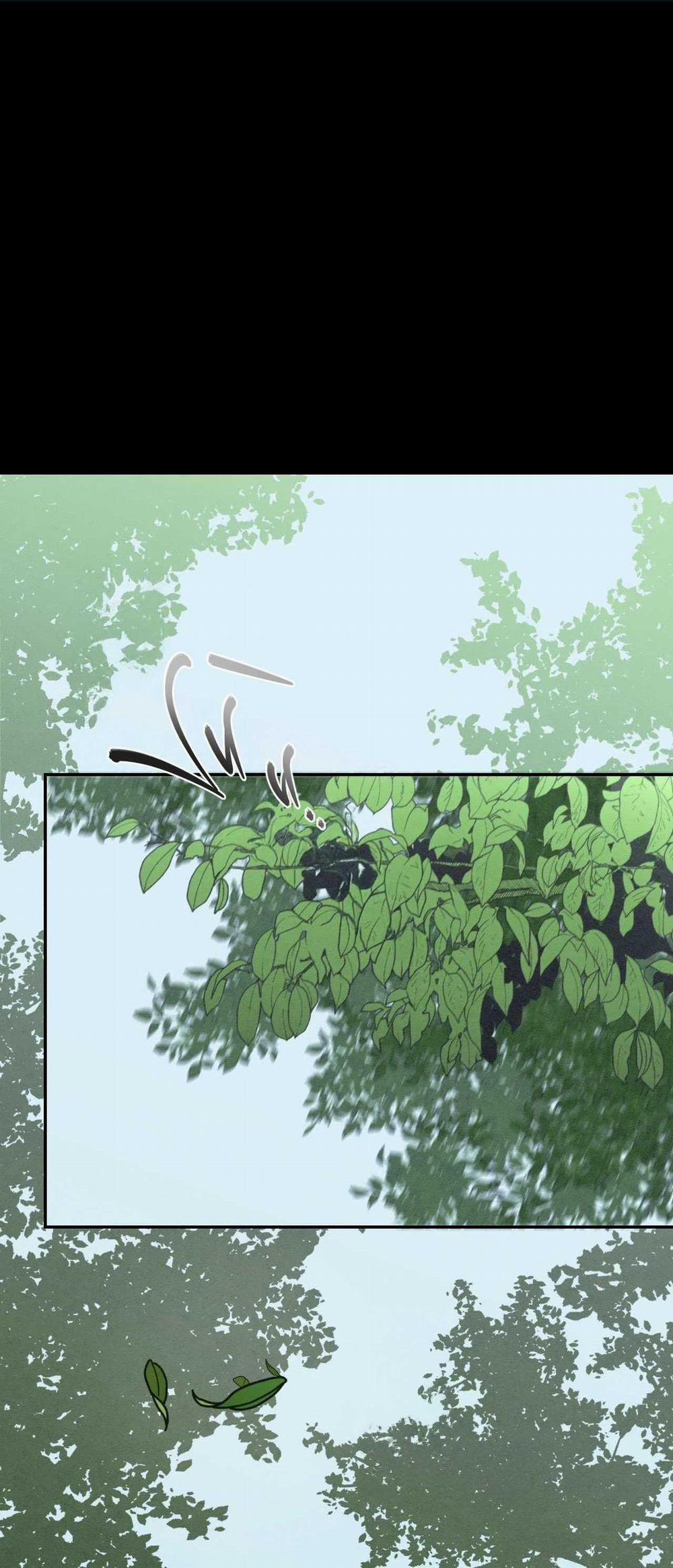 Gấu Teddy Thân Yêu 28 trang 0