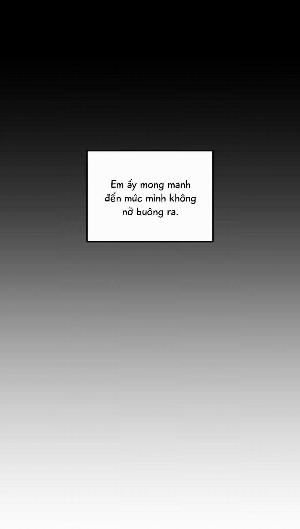 Gấu Teddy Thân Yêu 28 trang 49