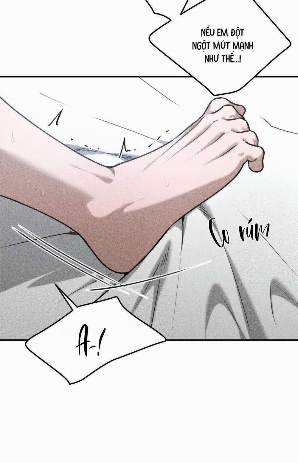 Gấu Teddy Thân Yêu 29 trang 13