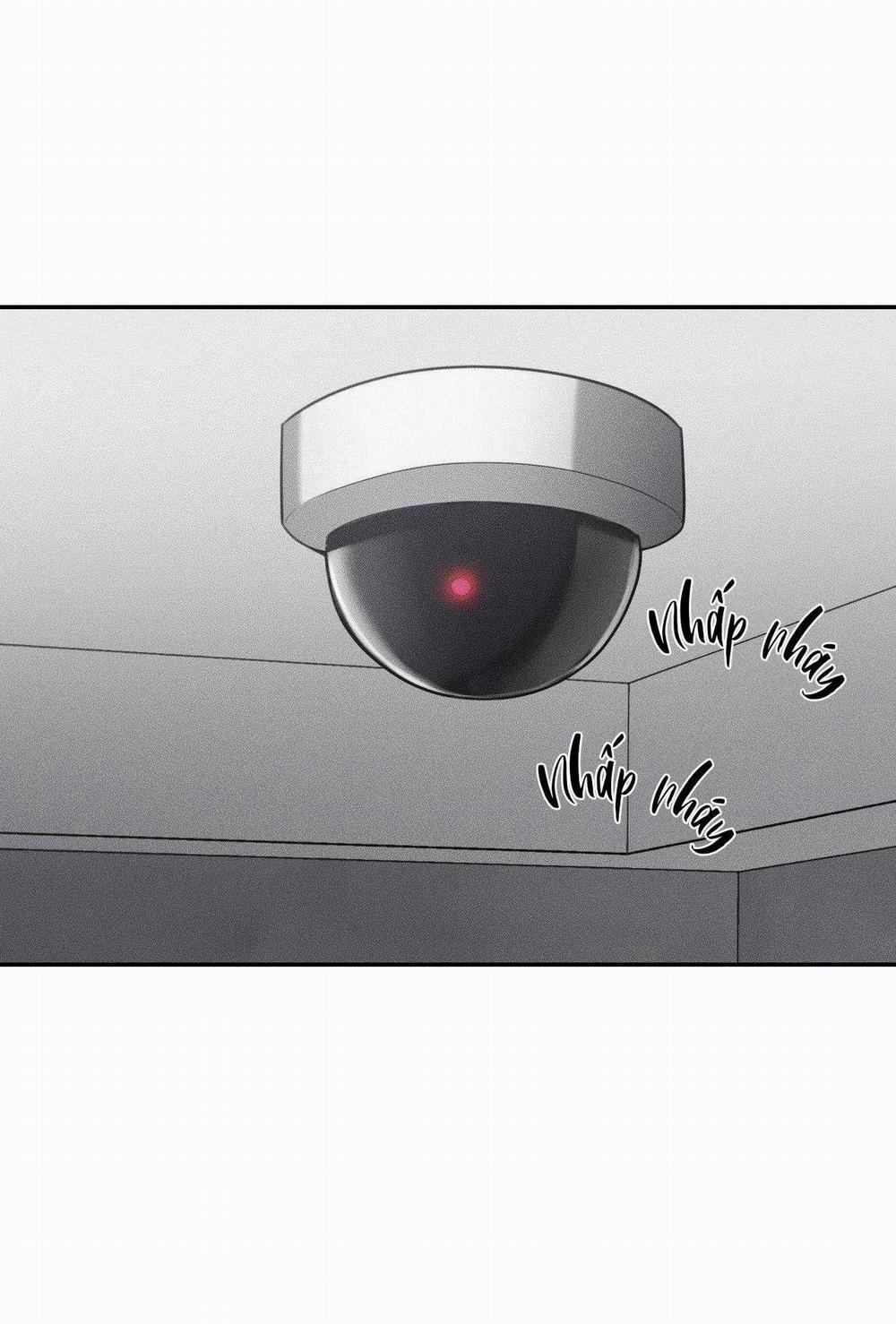 Gấu Teddy Thân Yêu 32 trang 30