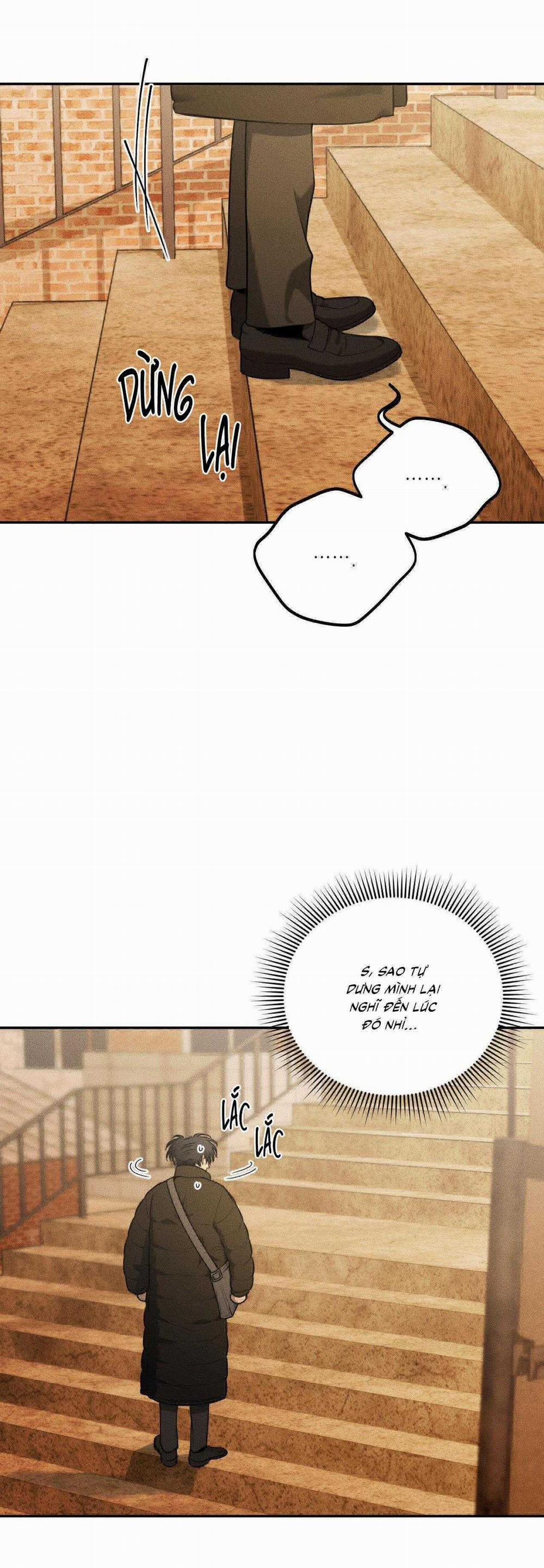 Gấu Teddy Thân Yêu 33 trang 6