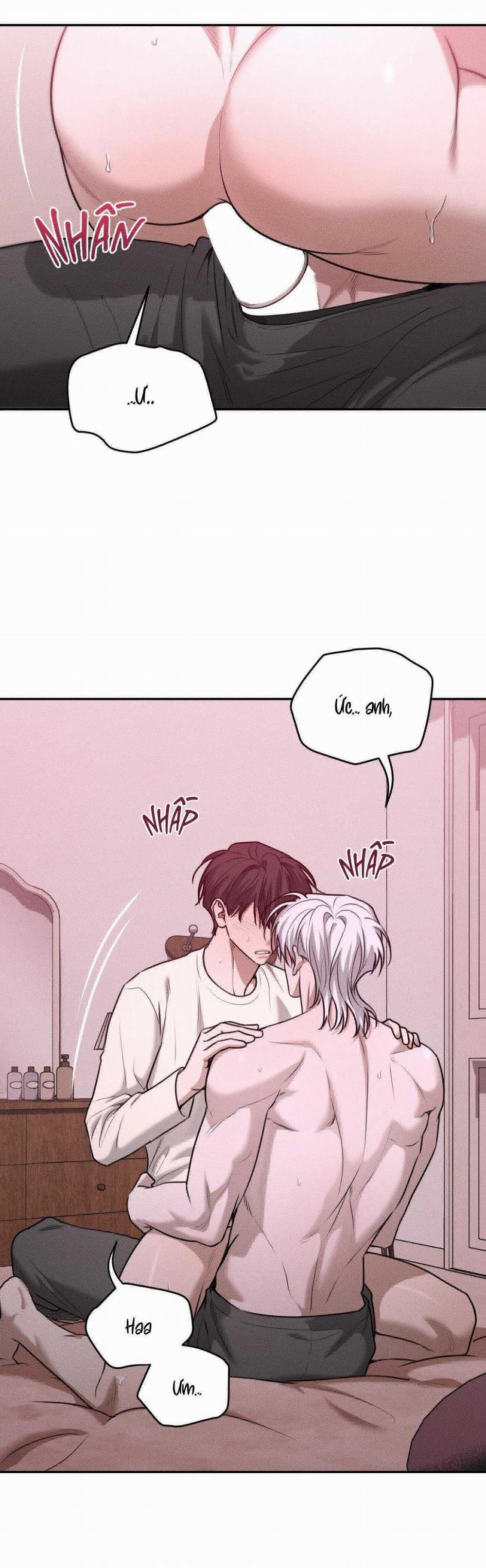 Gấu Teddy Thân Yêu 36 trang 19