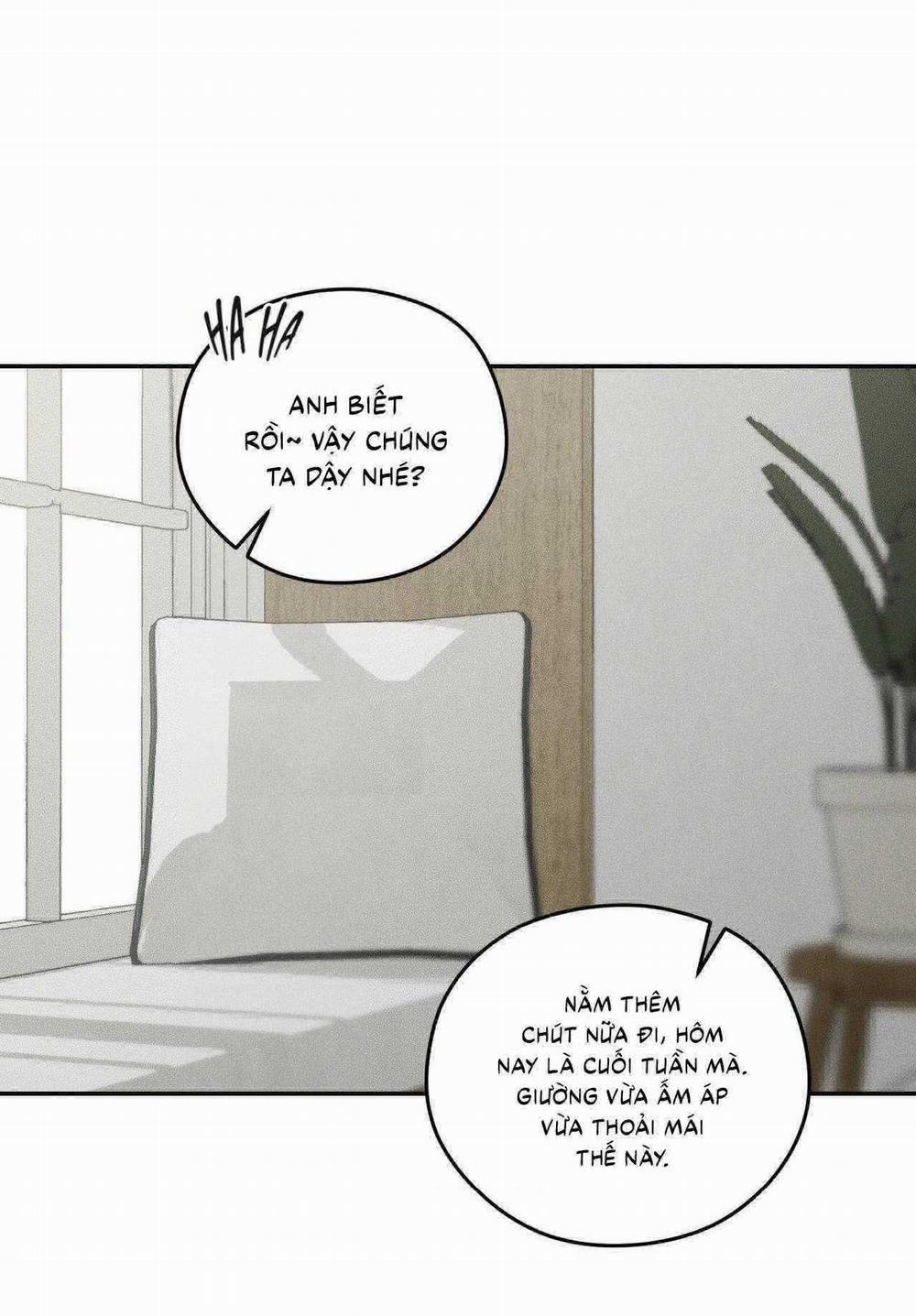 Gấu Teddy Thân Yêu 36 trang 46