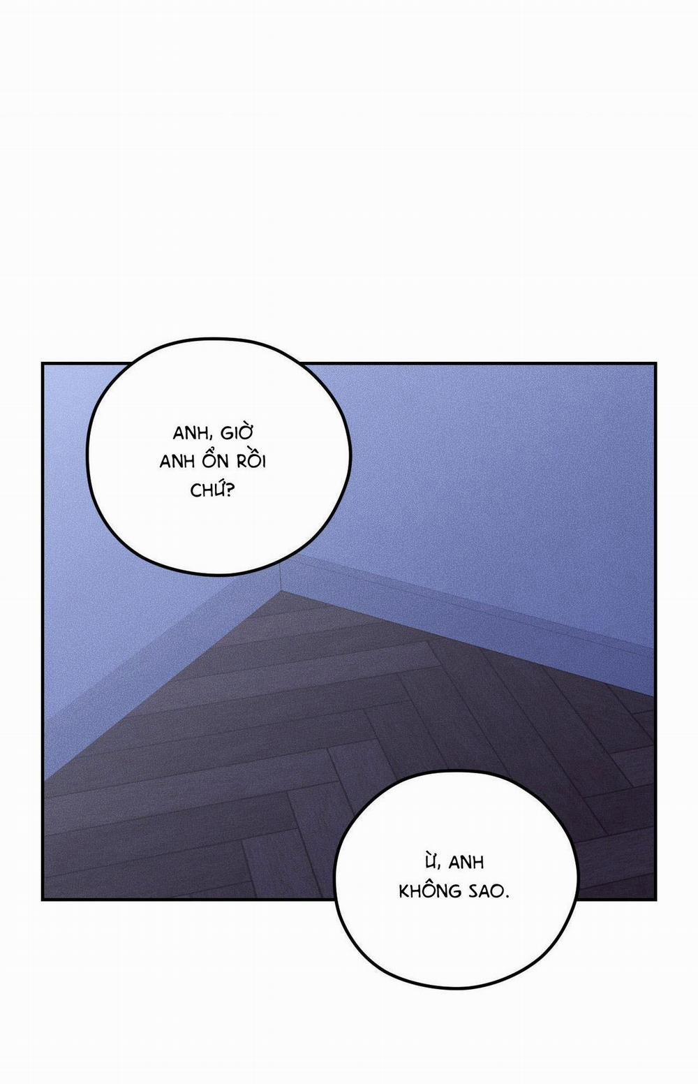 Gấu Teddy Thân Yêu 4 trang 20