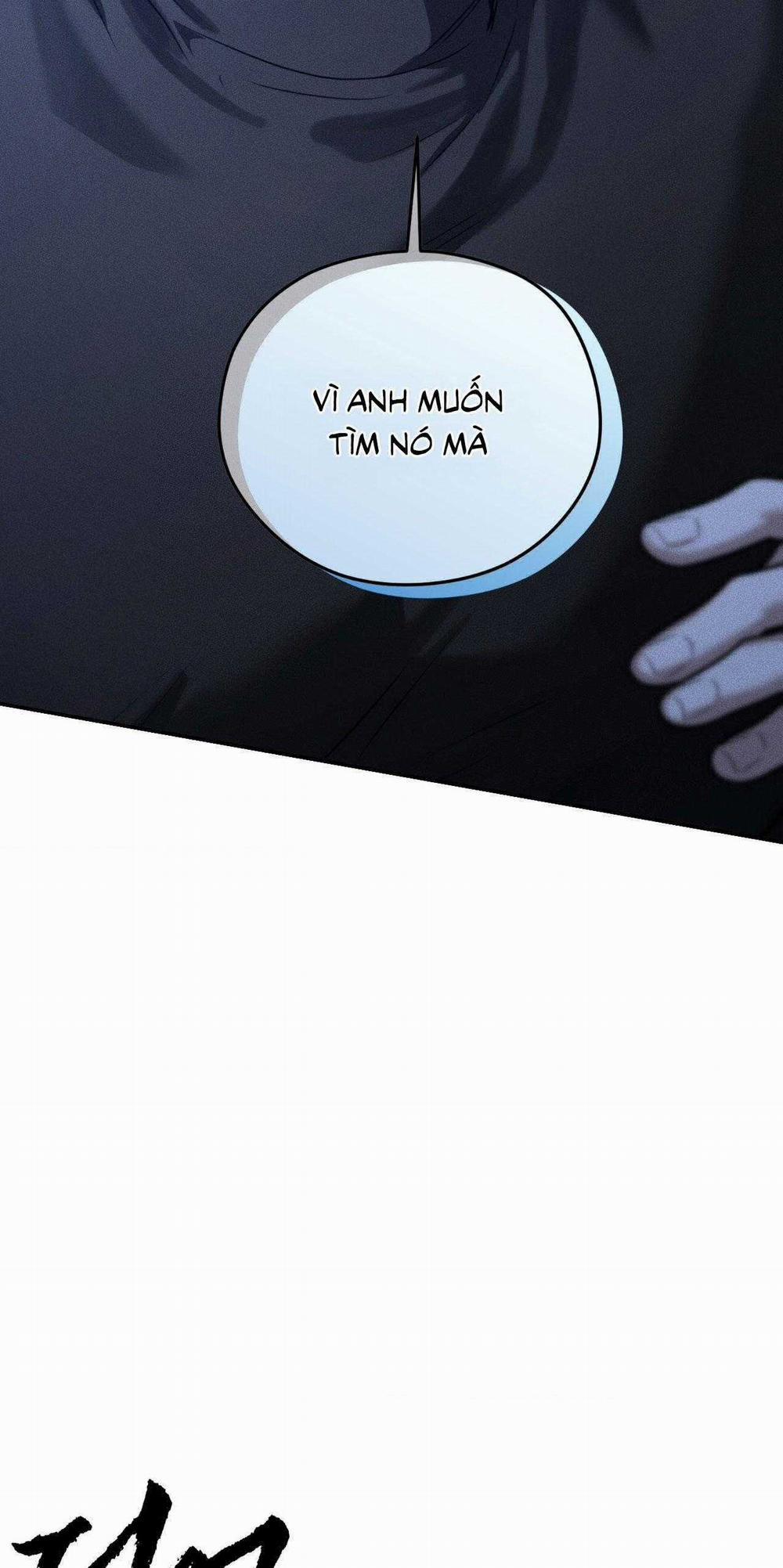 Gấu Teddy Thân Yêu 40 trang 15