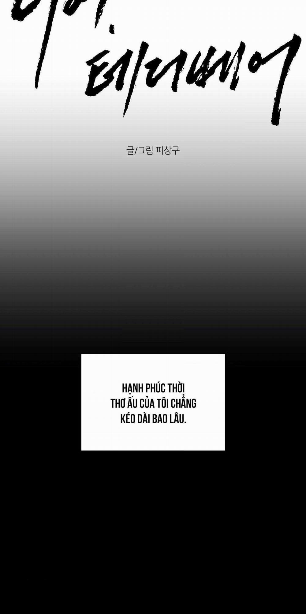 Gấu Teddy Thân Yêu 40 trang 16