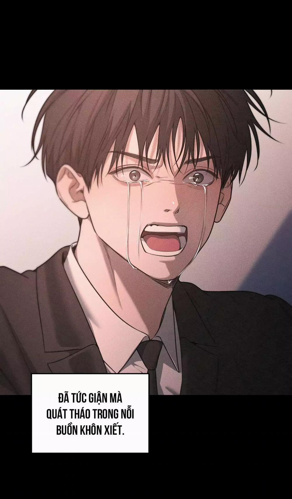 Gấu Teddy Thân Yêu 41 trang 11