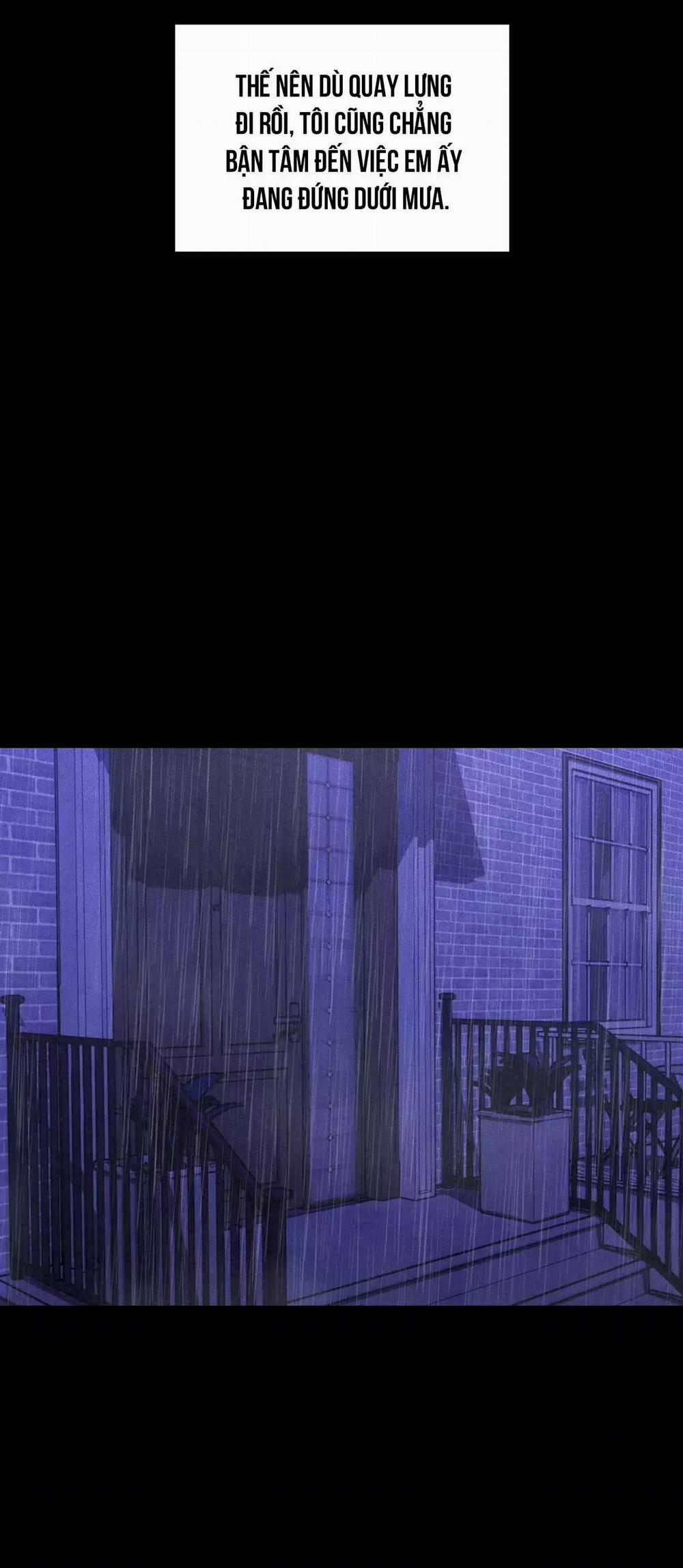 Gấu Teddy Thân Yêu 41 trang 15