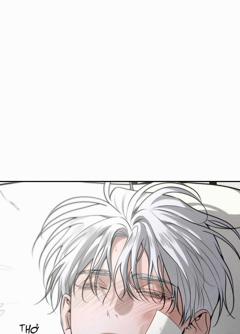 Gấu Teddy Thân Yêu 42 trang 4