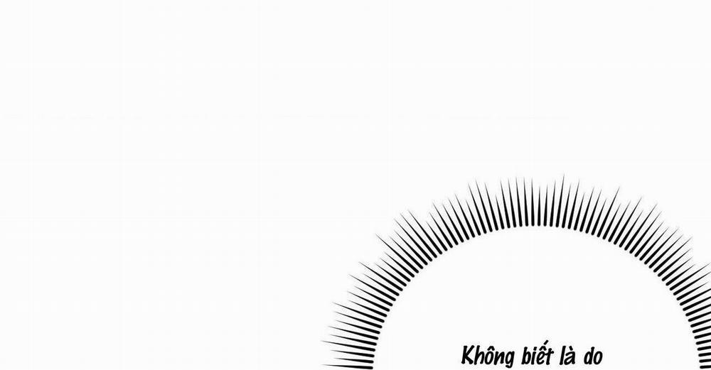 Gấu Teddy Thân Yêu 5 trang 44