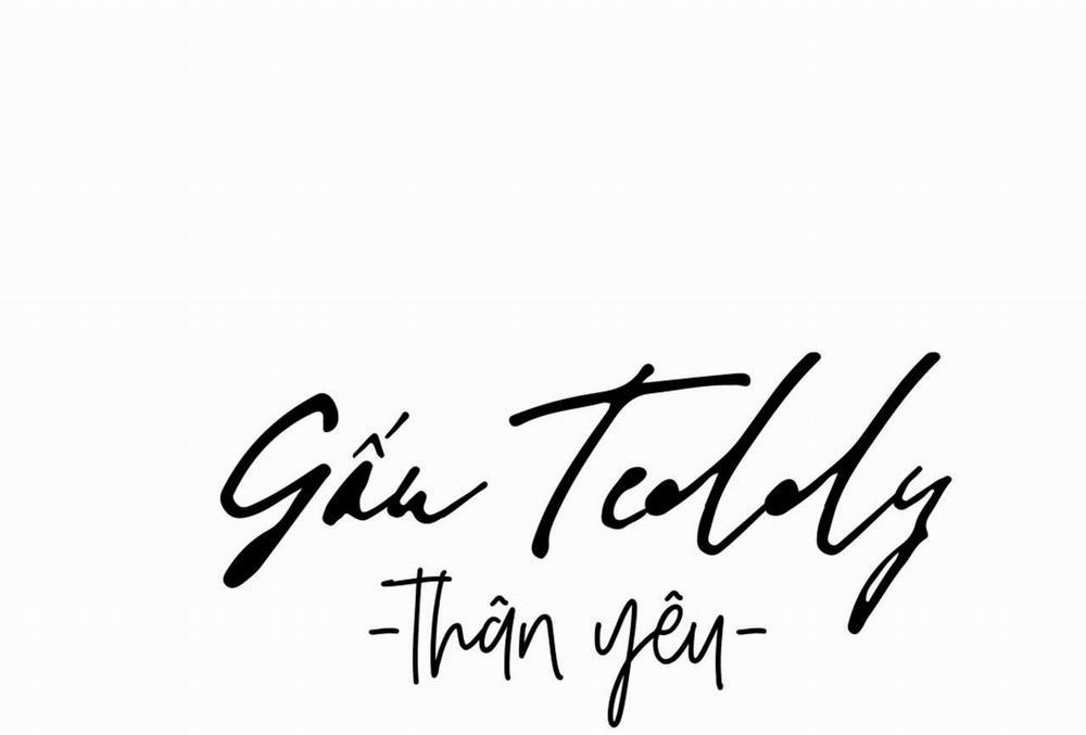 Gấu Teddy Thân Yêu 7 trang 11