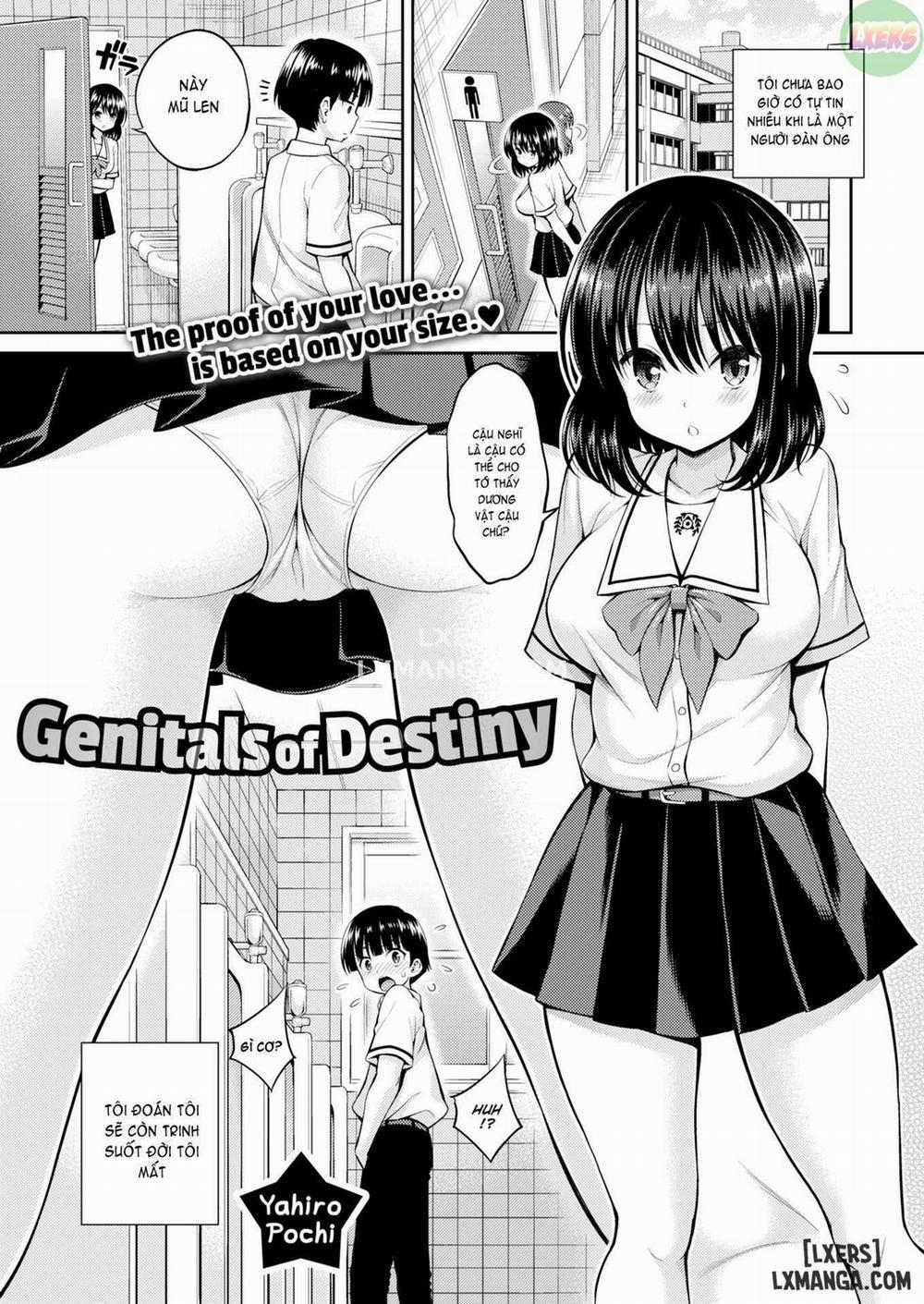 Genitals of Destiny Oneshot trang 0