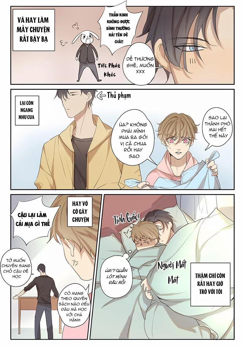 Ghét Cậu Thích Cậu 32 trang 6