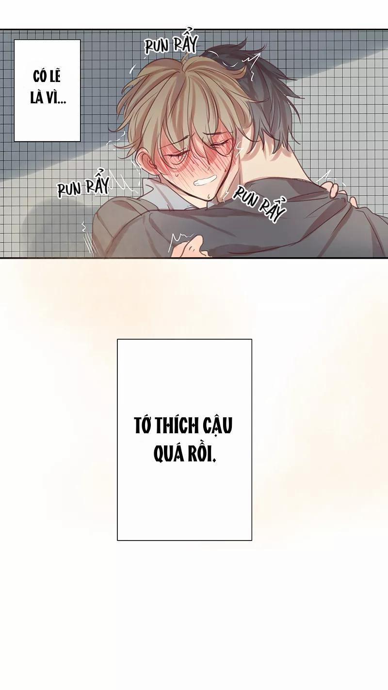 Ghét Cậu Thích Cậu 35 trang 1