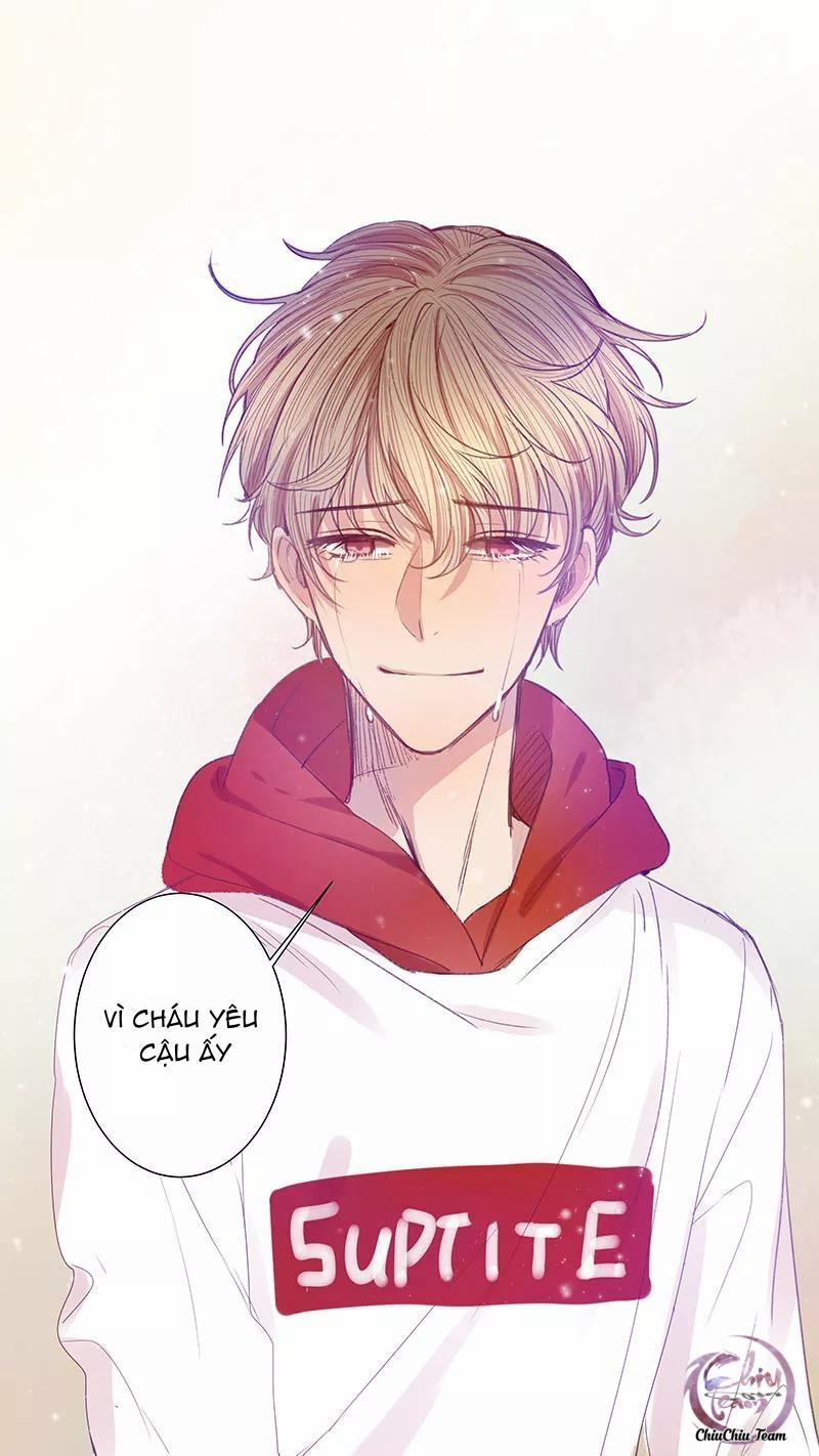 Ghét Cậu Thích Cậu 48 trang 12