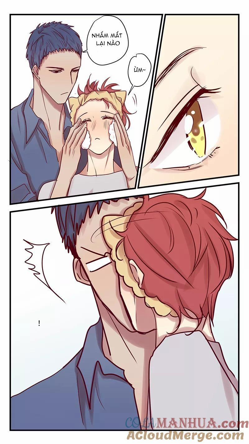 Ghét Cậu Thích Cậu 80 trang 6