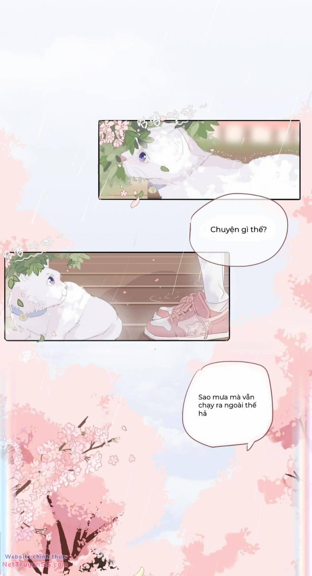 Ghi Chú Hoa Anh Đào 0.5 trang 2