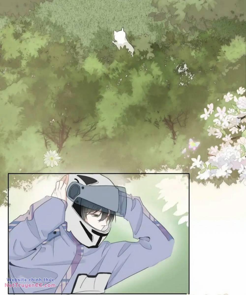 Ghi Chú Hoa Anh Đào 2 trang 11