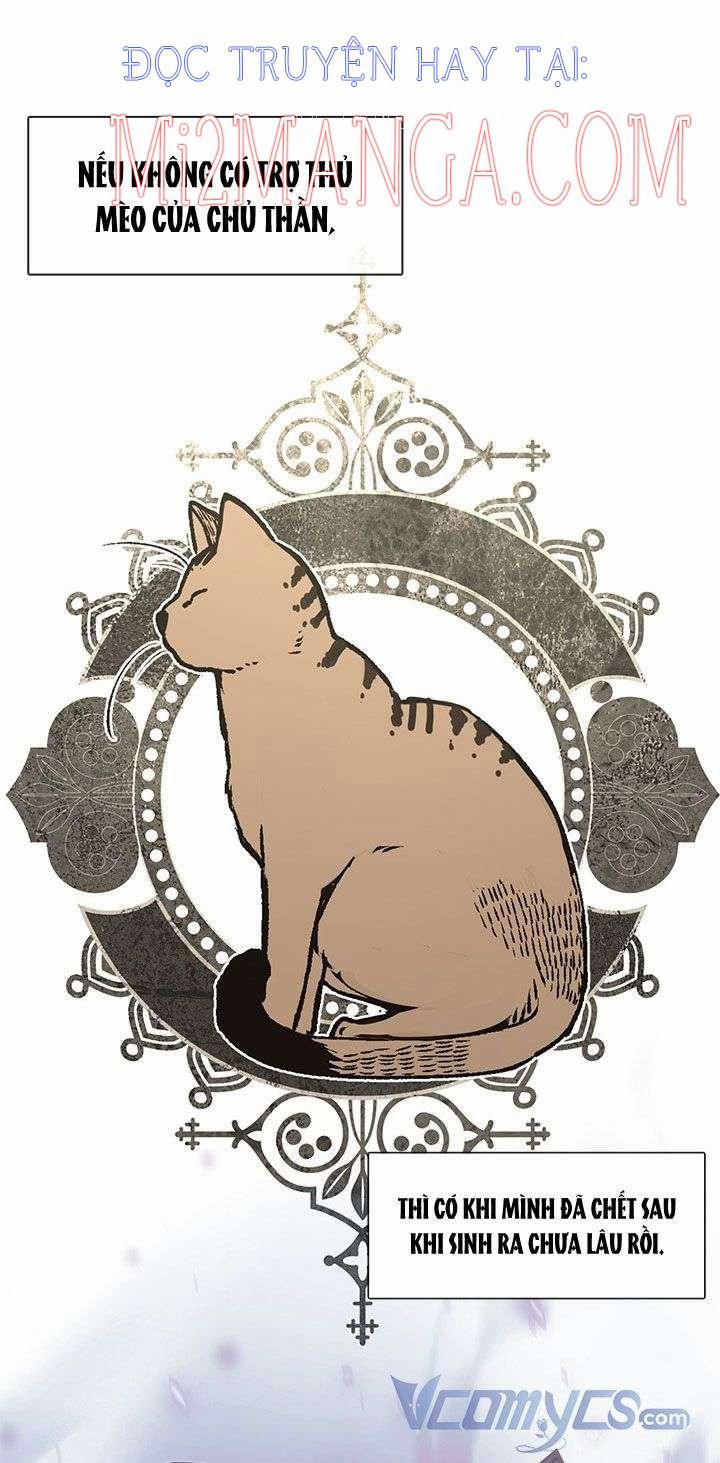 Gia Đình Bị Ám Ảnh Bởi Tôi 31 trang 23