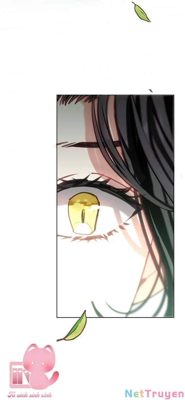 Gia Đình Bị Ám Ảnh Bởi Tôi 47 trang 24