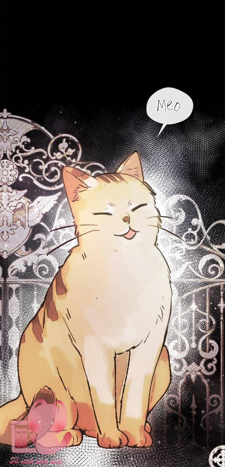 Gia Đình Bị Ám Ảnh Bởi Tôi 48 trang 6