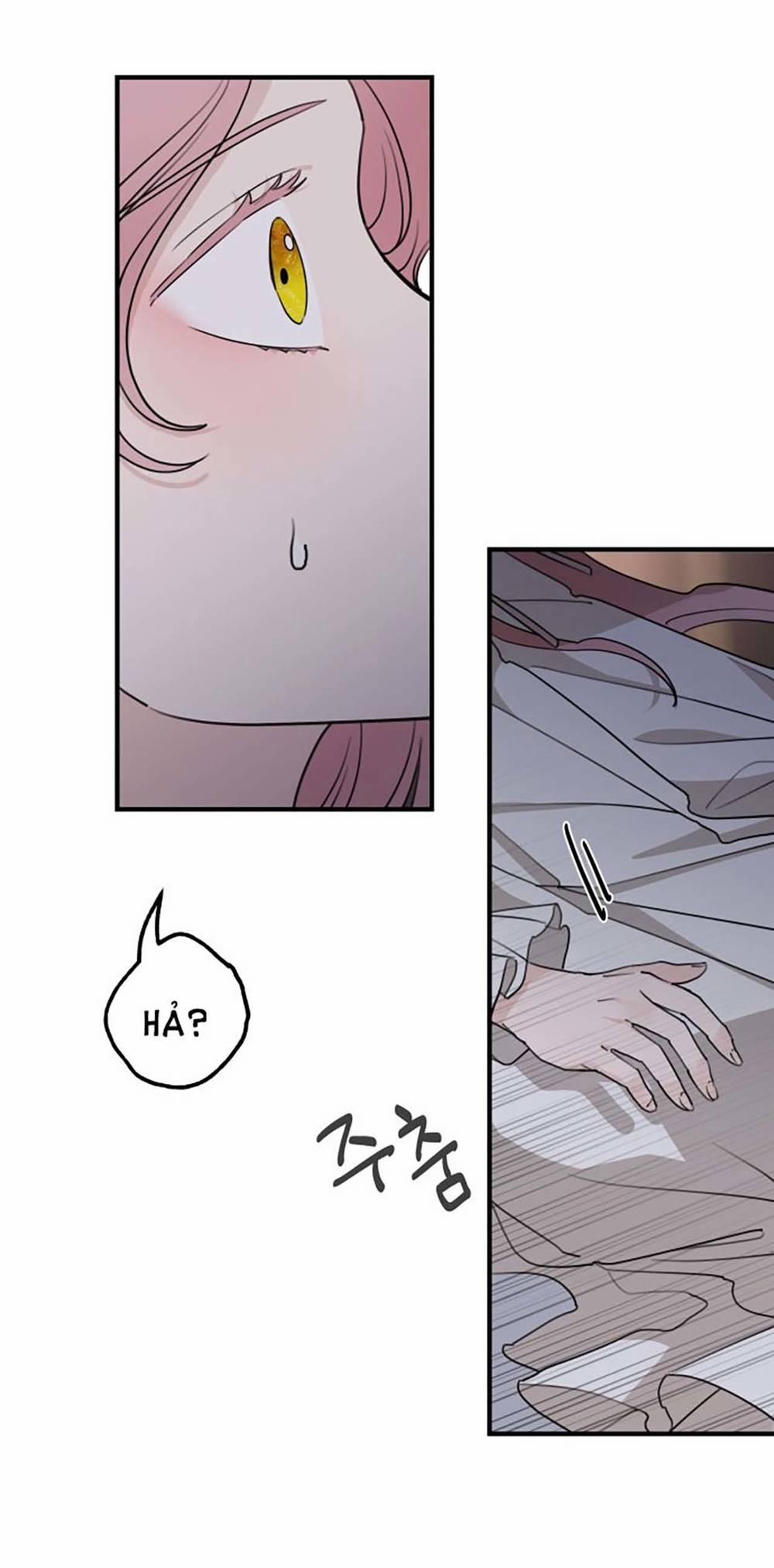 Gia Đình Chồng Bị Ám Ảnh Bởi Tôi 56.1 trang 1