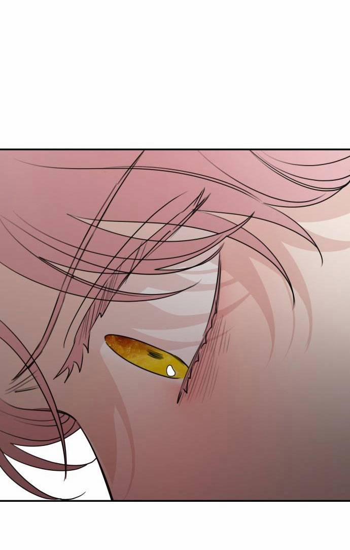 Gia Đình Chồng Bị Ám Ảnh Bởi Tôi 61.1 trang 17