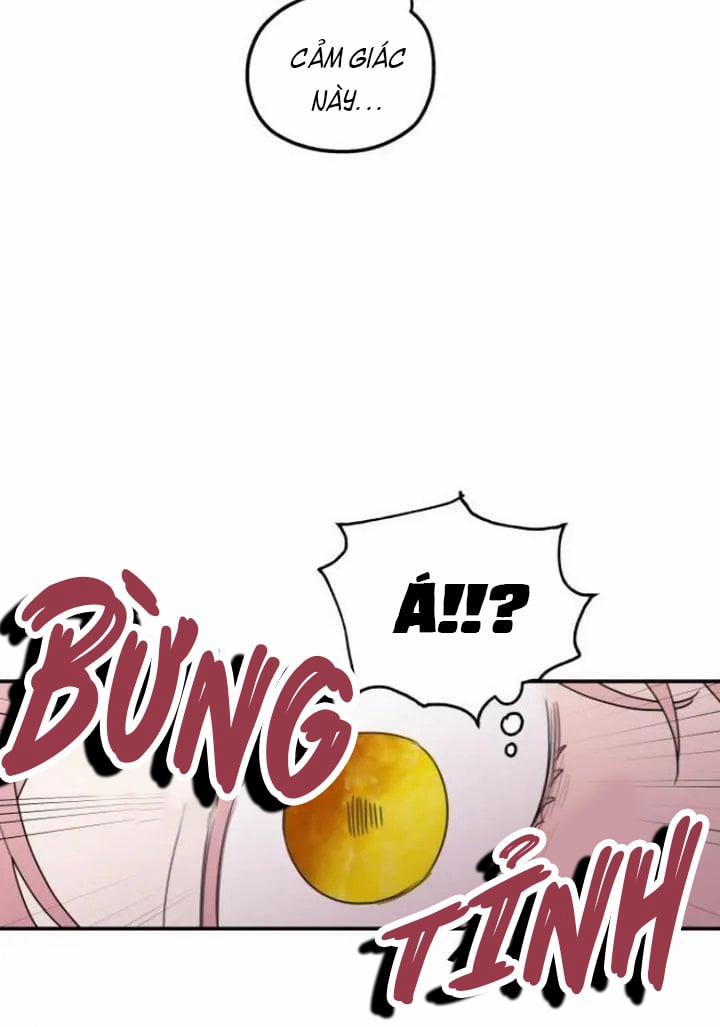 Gia Đình Chồng Vô Cùng Yêu Thích Tôi 14.1 trang 2