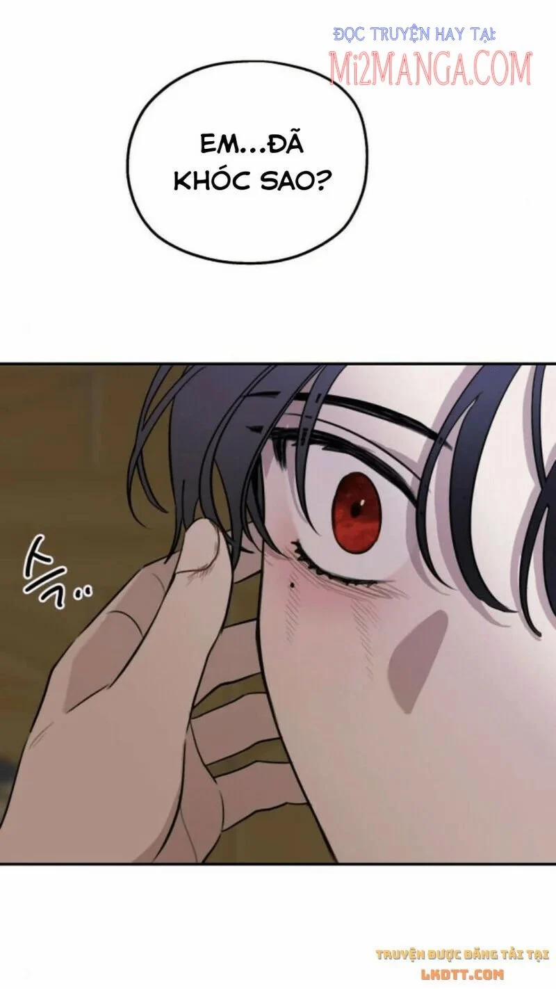 Gia Đình Chồng Vô Cùng Yêu Thích Tôi 7 trang 11