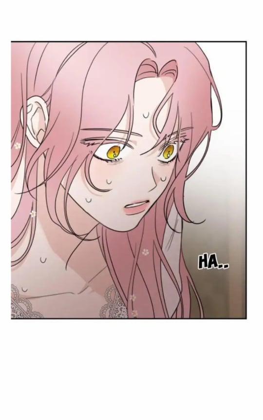 Gia Đình Chồng Vô Cùng Yêu Thích Tôi 8 trang 3