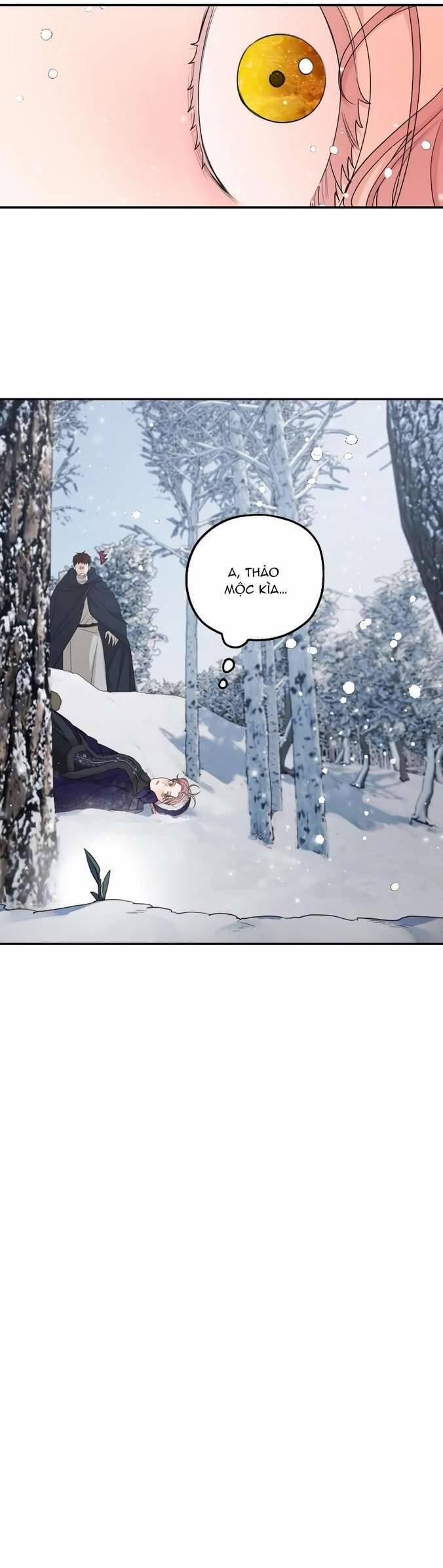 Gia Đình Chồng Vô Cùng Yêu Thích Tôi 94 trang 21