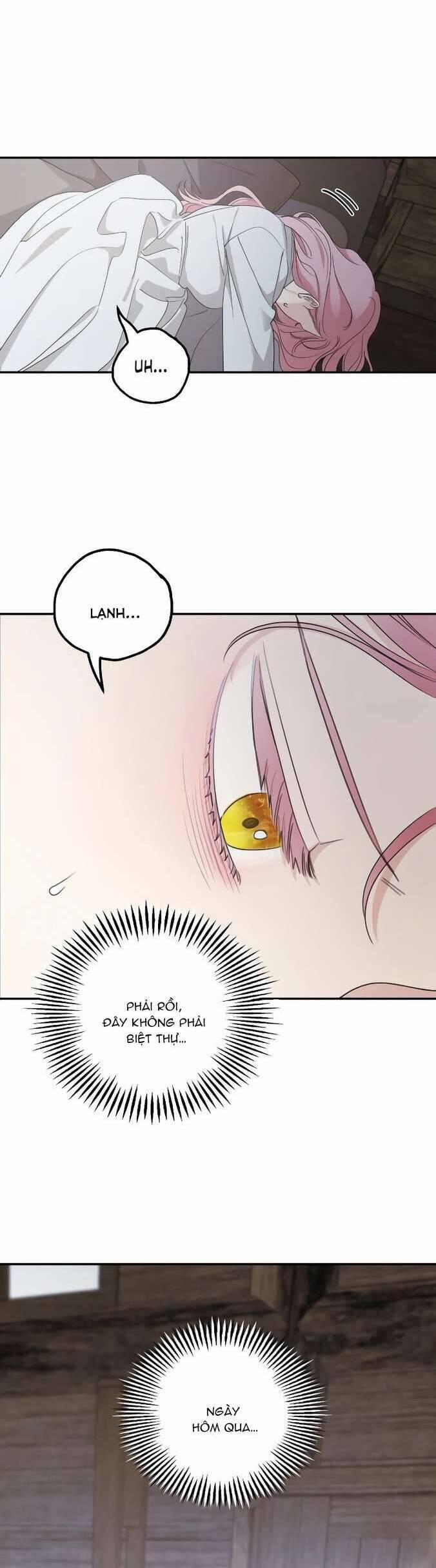 Gia Đình Chồng Vô Cùng Yêu Thích Tôi 95 trang 27