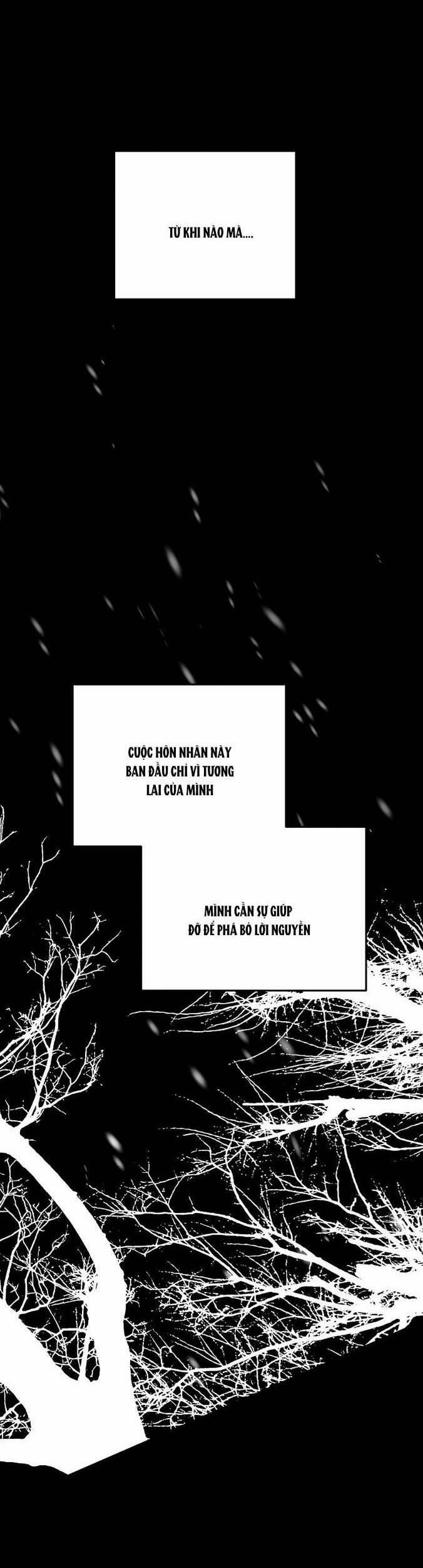 Gia Đình Chồng Vô Cùng Yêu Thích Tôi 95 trang 3