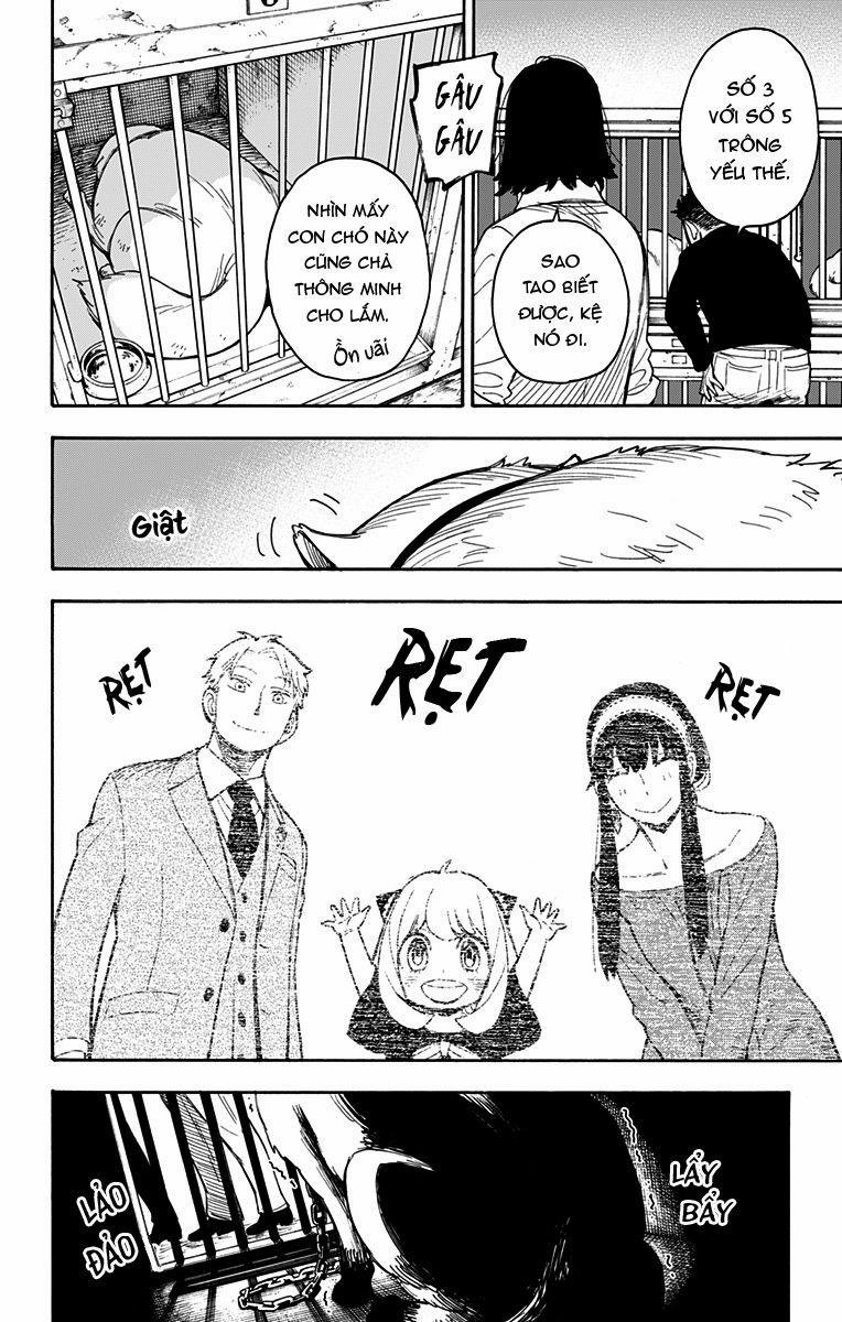 Gia Đình Điệp Viên 17 trang 17