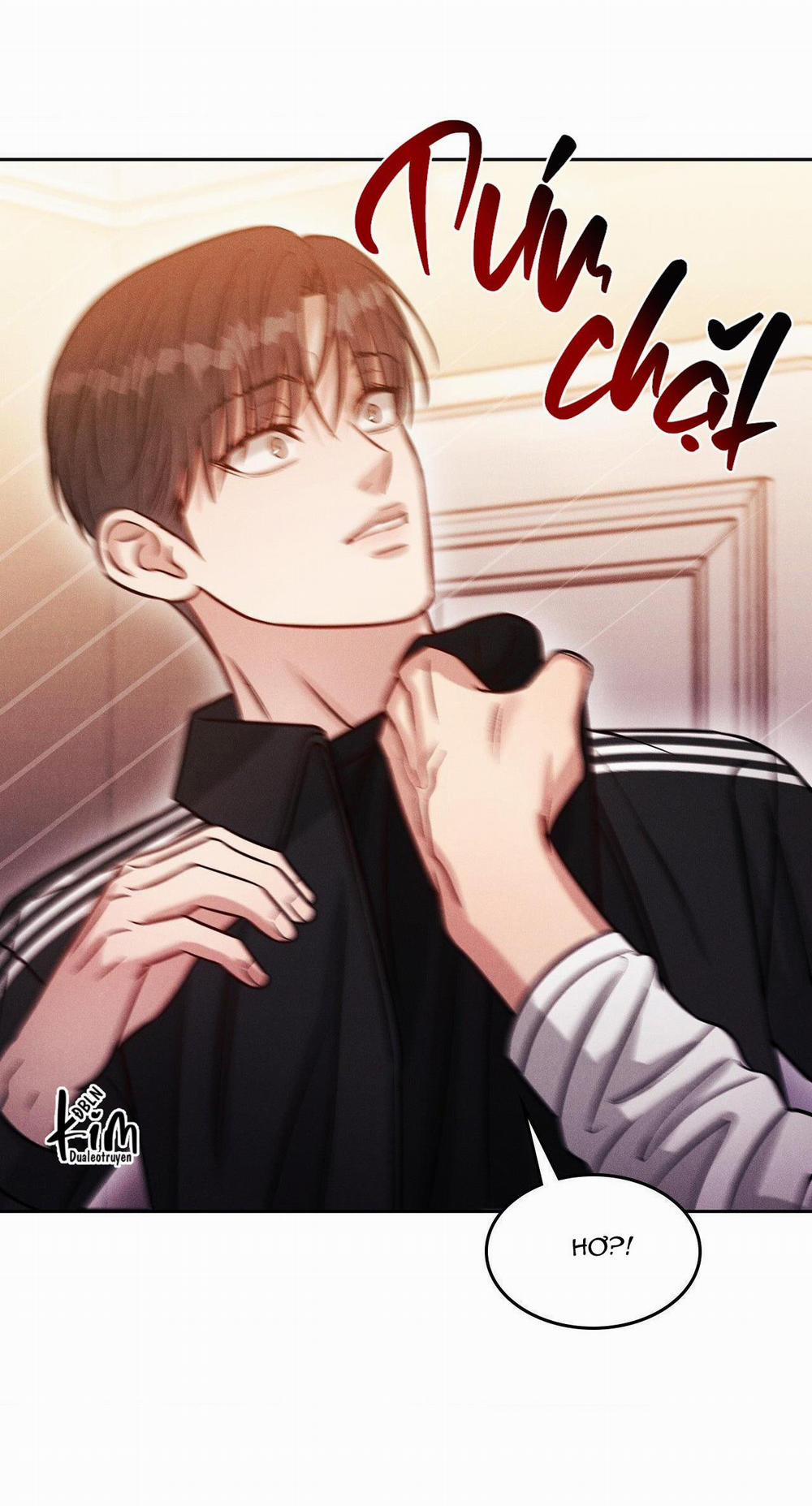 Giả Dược 27 trang 56